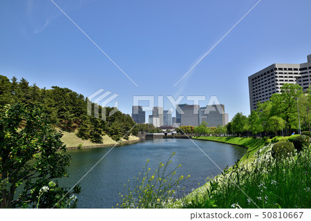 東京皇宮地區和城市景觀 東京皇宮地區和城市景觀 50810667