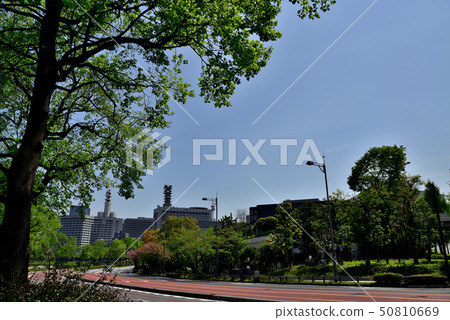 東京皇宮地區和城市景觀 東京皇宮地區和城市景觀 50810669