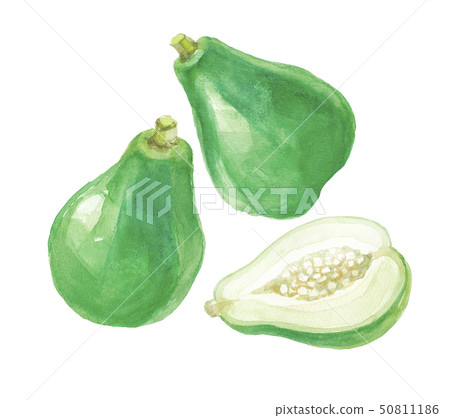 Blue papaya 50811186