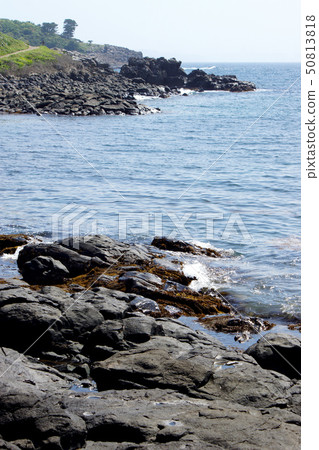 Karatsu Hato (Blue sea, white sand beach, flowering field, a bowl showing various expressions) 50813818