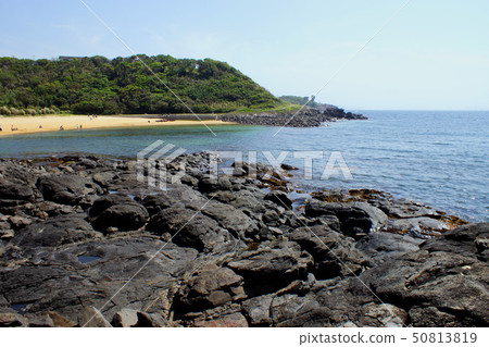 Karatsu Hato (Blue sea, white sand beach, flowering field, a bowl showing various expressions) 50813819