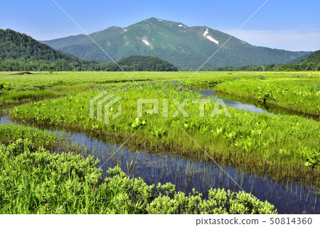 A mountain with oyster grass and river in fresh green Ozegahara A mountain with oyster grass and river in fresh green Ozegahara 50814360