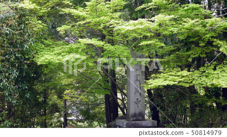 Entrance of Nara-Enjoji Temple (Enjoji) 50814979