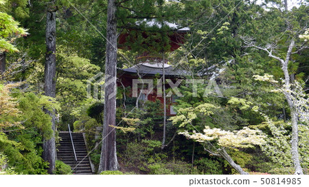 Look at the taho pagoda from the entrance of Enjoji, Nara 50814985