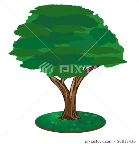 isolated green tree vector design - Stock Illustration [50815430] - PIXTA