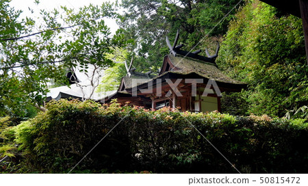 Nara-Enjoji國寶Kasugado-Hakusando是最古老,最小的春日Sakuso Nara-Enjoji國寶Kasugado-Hakusando是最古老,最小的春日Sakuso 50815472