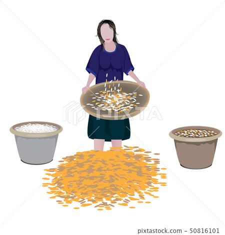 agriculturist with rice vector design 50816101