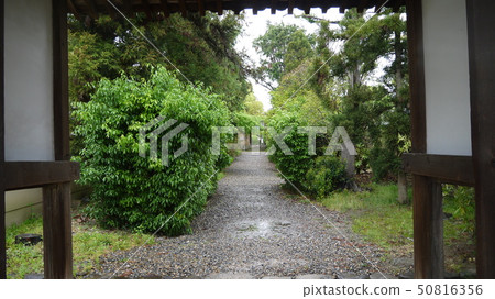 從奈良 - kairyuo-ji的山門接近 從奈良 - kairyuo-ji的山門接近 50816356