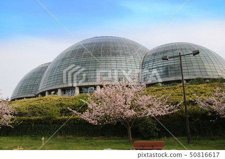 Building of dream plant island tropical plant building 50816617