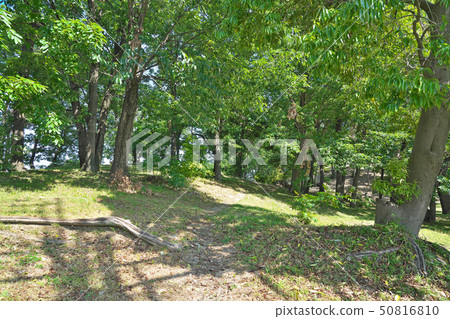 [Ototorizuka Kofun]大阪府富士德拉市的古廟2 50816810