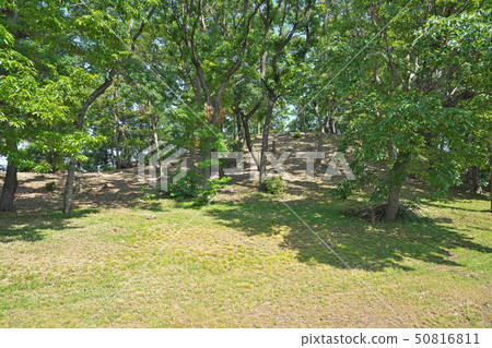 [Ototorizuka Kofun] Old temple 2 in Fujidera City, Osaka Prefecture 50816811