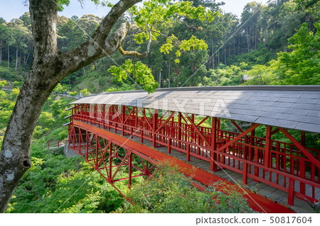 Hohiroji 4100 50817604