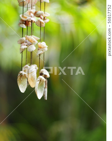old sea shell hanging mobile close-up outdoor old sea shell hanging mobile close-up outdoor 50817752