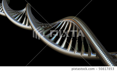 Conceptual DNA molecule model, 3D rendering Conceptual DNA molecule model, 3D rendering 50817853