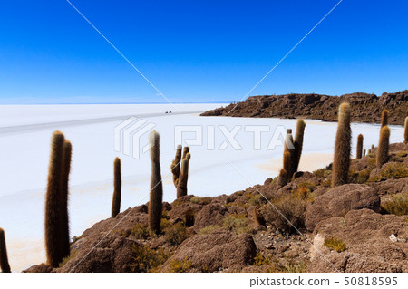 Salar de Uyuni view from Isla Incahuasi Salar de Uyuni view from Isla Incahuasi 50818595