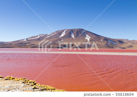 Laguna Colorada view, Bolivia 50818604