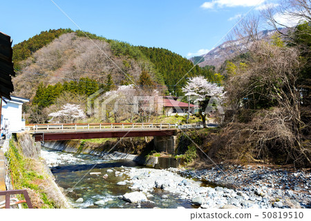 Spring in Yamanashi Prefecture Minamitsuru-gun Doshimura 50819510