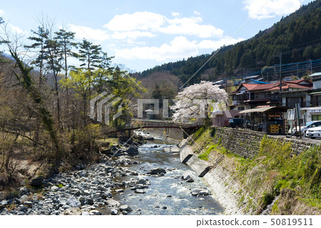 Spring in Yamanashi Prefecture Minamitsuru-gun Doshimura 50819511