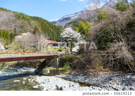 Spring in Yamanashi Prefecture Minamitsuru-gun Doshimura 50819513