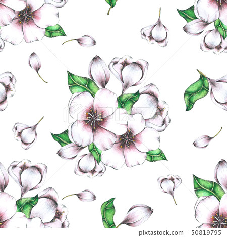 Flower Seamless Pattern hand painted in watercolor 50819795