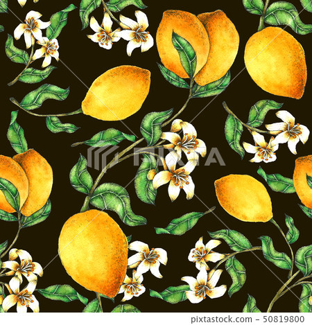 Lemon Seamless Pattern hand painted in watercolor - Stock Illustration ...