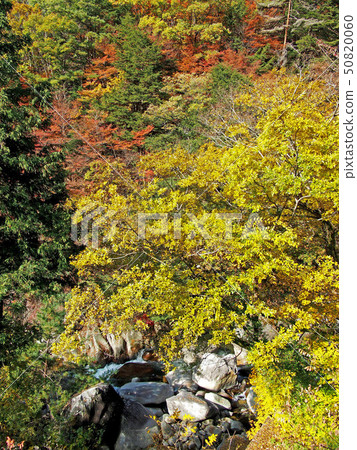 Shinkyō Gorge 50820060