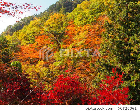 Shinkyō Gorge 50820061