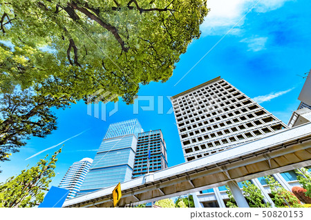 Fresh green and building groups Fresh green and building groups 50820153