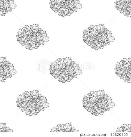 Seamless pattern with flower ink sketch 50820505