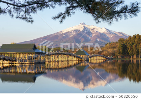 Aomori Tsugaru Fujimi Lake, a crane with a crane and morning glow Mt. Iwaki 50820550
