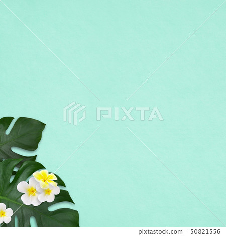 Background-Sea-Summer-Beach-Monstera-Plumeria-Blue 50821556