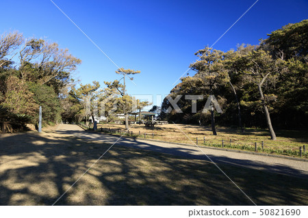 Nagai Nagai 50821690