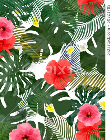 Background-Sea-Summer-Monstera-Plumeria-Hibiscus 50821785