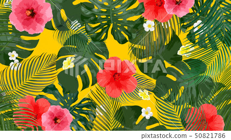 背景 - 海 - 夏 - 龜背竹 - 雞蛋花 - 芙蓉 背景 - 海 - 夏 - 龜背竹 - 雞蛋花 - 芙蓉 50821786