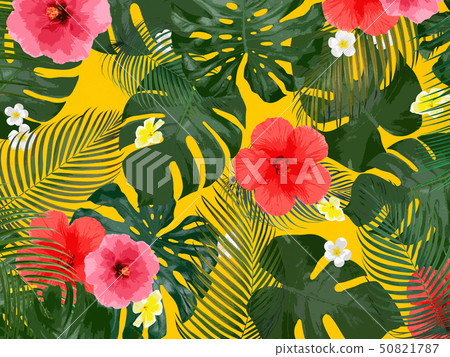 Background-Sea-Summer-Monstera-Plumeria-Hibiscus 50821787