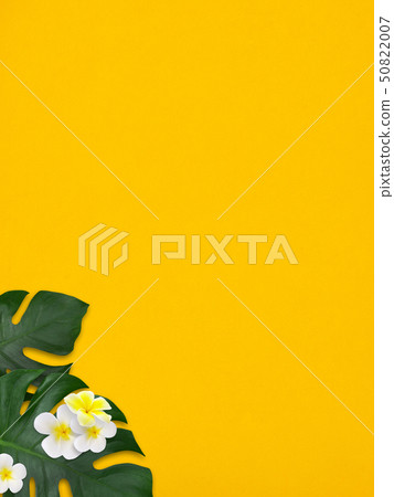 Background-Sea-Summer-Beach-Monstera-Plumeria-Yellow Background-Sea-Summer-Beach-Monstera-Plumeria-Yellow 50822007