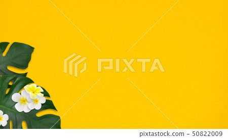 Background-Sea-Summer-Beach-Monstera-Plumeria-Yellow Background-Sea-Summer-Beach-Monstera-Plumeria-Yellow 50822009
