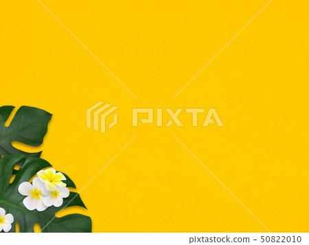 Background-Sea-Summer-Beach-Monstera-Plumeria-Yellow Background-Sea-Summer-Beach-Monstera-Plumeria-Yellow 50822010