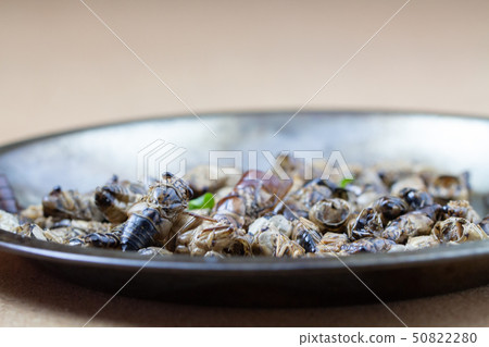 食用筷子半泰國紀念品的食物 食用筷子半泰國紀念品的食物 50822280
