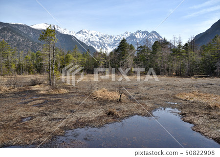 Nagano Prefecture Spring Kamikochi Tashiro wetlands and Hotaka mountain range Nagano Prefecture Spring Kamikochi Tashiro wetlands and Hotaka mountain range 50822908