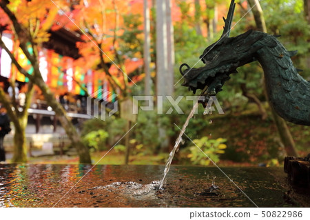 Autumn hand water store 50822986