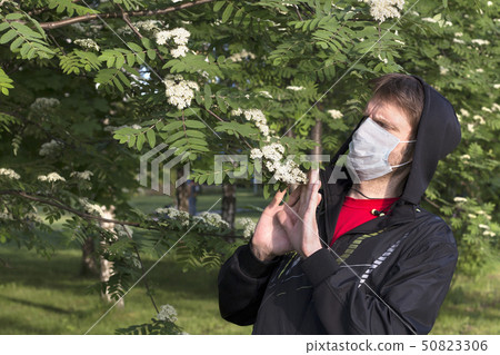 Man in medical mask bypasses flowering tree, Man in medical mask bypasses flowering tree, 50823306