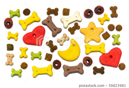 Colorful dog food flat lay background Colorful dog food flat lay background 50823981