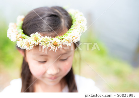 Girl wearing a crown of white clover Girl wearing a crown of white clover 50823993
