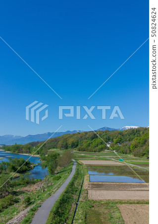 Kamogawa and paddy fields: Fresh green Azumino Kamogawa and paddy fields: Fresh green Azumino 50824624