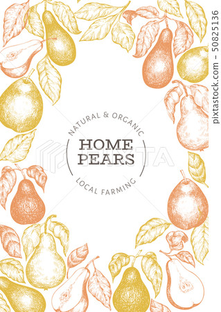 Pear design template. Hand drawn vector garden Pear design template. Hand drawn vector garden 50825136