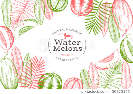Watermelons, melons and tropical leaves design 50825145