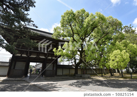 Koryu-ji Temple Koryu-ji Temple 50825154