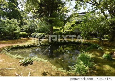 Koryu-ji寺Kaminomiyaoin Taitoden Kita花園 50825160