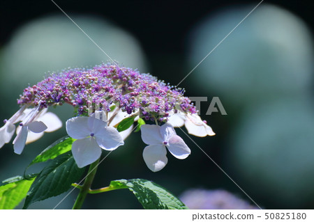 It gets wet when it rains 50825180